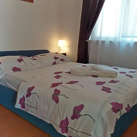 Zvonko *